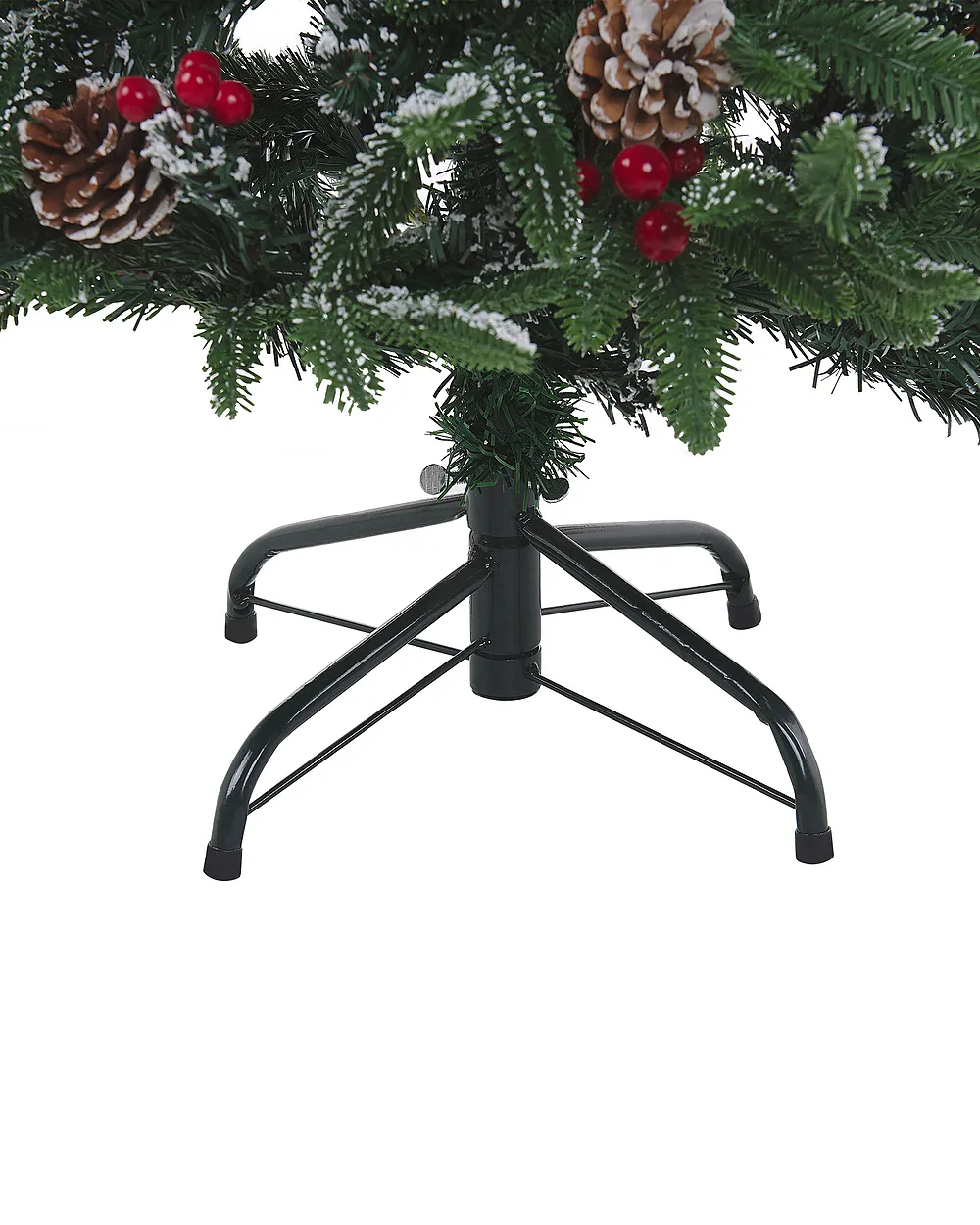 Abeto Natural Nordmanniana Gran Porte 175 a 200 cm Vivero Can Jover Girona - Vista 5