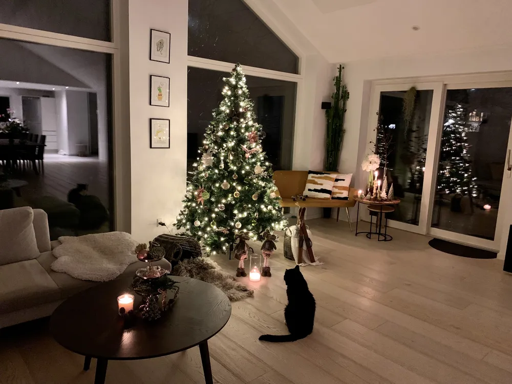 Árbol de Navidad Artificial con Luces LED PALOMAR 180 cm Verde Oscuro - Vista 3