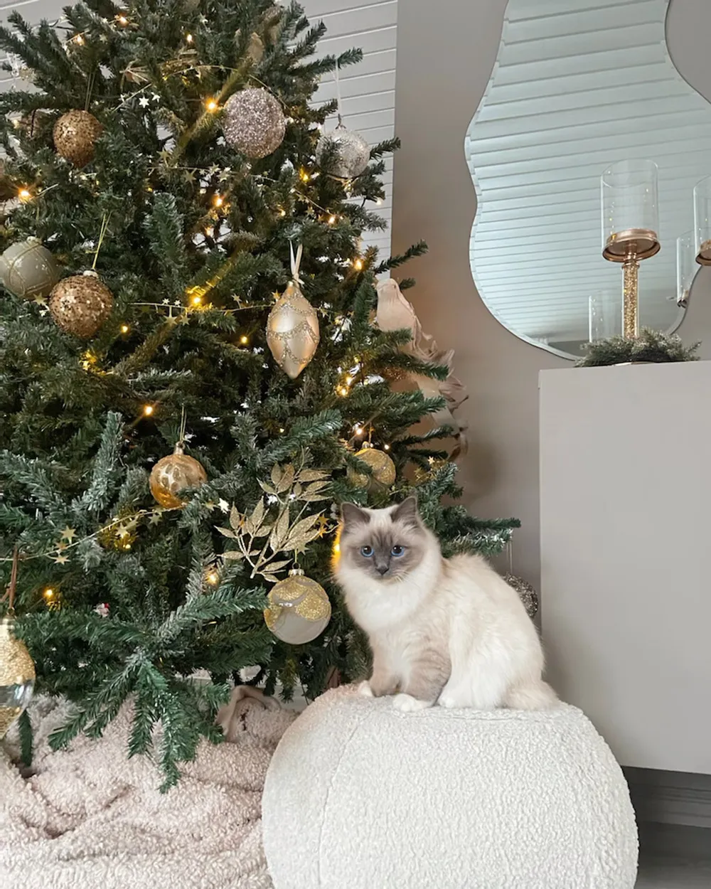 Árbol de Navidad Artificial con Luces LED PALOMAR 180 cm Verde Oscuro - Vista 9